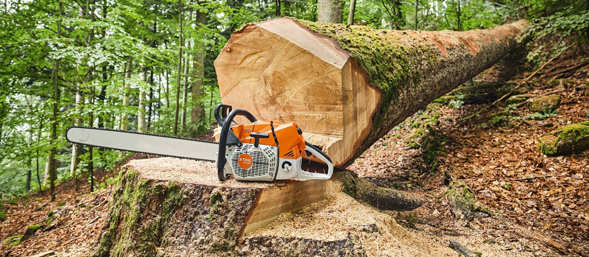 Tuingereedschap Winkel -Tuingereedschap Winkel 1