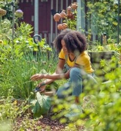 GARDENA - ExpertCut - Snoeischaar - 22 Diameter Tak -Tuingereedschap Winkel 1116x1200 1