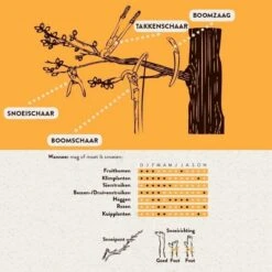 Hendrik Jan - Takkenschaar - Aluminium - Aambeeld - 62 Cm 10 Hendrik Jan - Takkenschaar - Aluminium - Aambeeld - 62 Cm -Tuingereedschap Winkel 1198x1200 4