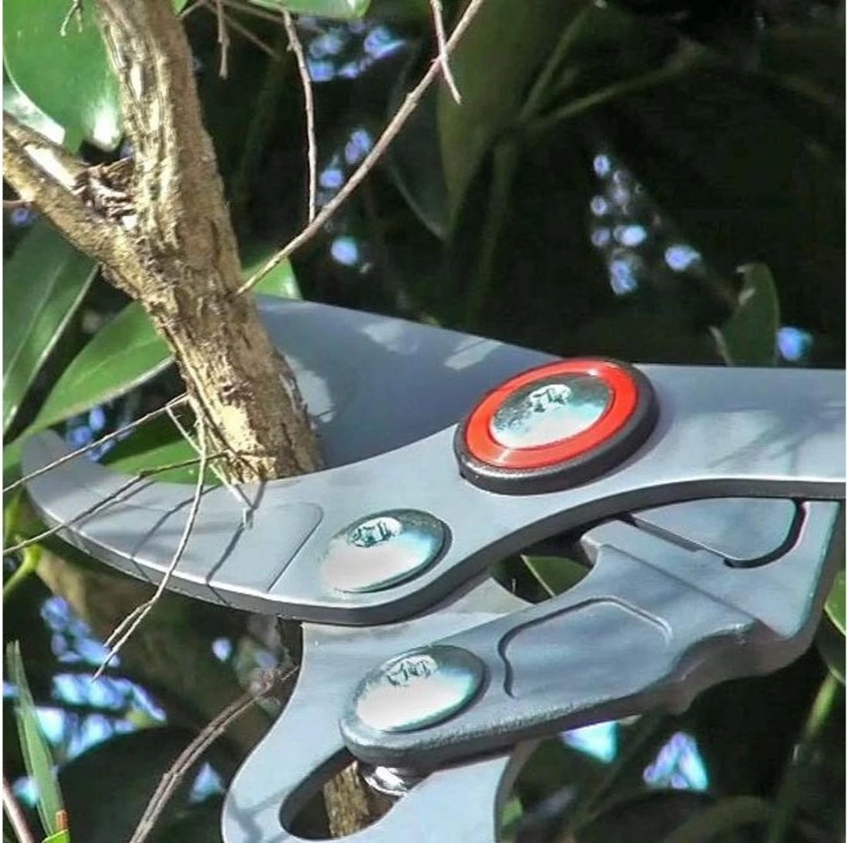 WOLF-Garten Takkenschaar POWER CUT RR*** 900 T - Lengte 650-900mm - Telescoop - Aluminium Hefboomarmen - 4x Meer Kracht - Messpanning Instelbaar 9 WOLF-Garten Takkenschaar POWER CUT RR*** 900 T - Lengte 650-900mm - Telescoop - Aluminium Hefboomarmen - 4x Meer Kracht - Messpanning Instelbaar - Afbeelding 7