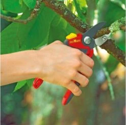 WOLF-Garten Snoeischaar "Premium Plus" RS 4000 - Aambeeld - Max. Knipdiameter 25 Mm - Links- En Rechtshandige - Softinleg Handgreep - Snijhoek 30° - Voor Grote Handen - Vervangbare Messen En Aambeeld 15 WOLF-Garten Snoeischaar "Premium Plus" RS 4000 - Aambeeld - Max. Knipdiameter 25 Mm - Links- En Rechtshandige - Softinleg Handgreep - Snijhoek 30° - Voor Grote Handen - Vervangbare Messen En Aambeeld -Tuingereedschap Winkel 1200x1195 3