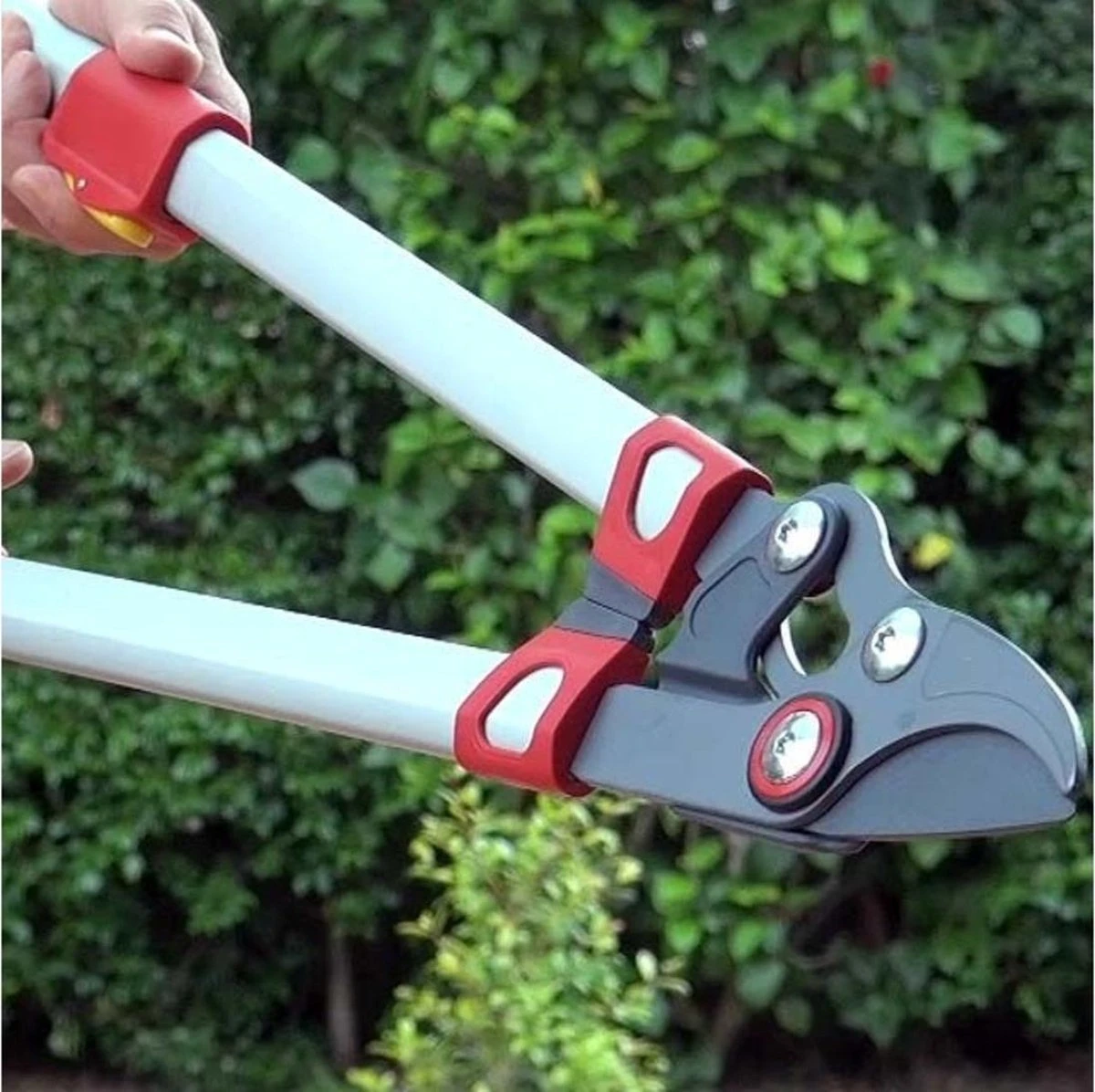 WOLF-Garten Takkenschaar POWER CUT RR*** 900 T - Lengte 650-900mm - Telescoop - Aluminium Hefboomarmen - 4x Meer Kracht - Messpanning Instelbaar 5 WOLF-Garten Takkenschaar POWER CUT RR*** 900 T - Lengte 650-900mm - Telescoop - Aluminium Hefboomarmen - 4x Meer Kracht - Messpanning Instelbaar - Afbeelding 3