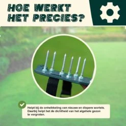Merkloos Gazonbeluchtingssandalen Premium - Gazonbeluchter - Beluchter - Gazonverluchter - Gazonpriksandalen - Verticuteerroller - Graszaad - Gazonmest - Kerstcadeau - Voor Mannen - Voor Vrouwen - Cadeautjes- Vaderdag Cadeau- Geschenk- Cadeautjes 11 Merkloos Gazonbeluchtingssandalen Premium - Gazonbeluchter - Beluchter - Gazonverluchter - Gazonpriksandalen - Verticuteerroller - Graszaad - Gazonmest - Kerstcadeau - Voor Mannen - Voor Vrouwen - Cadeautjes- Vaderdag Cadeau- Geschenk- Cadeautjes -Tuingereedschap Winkel 1200x1197 8