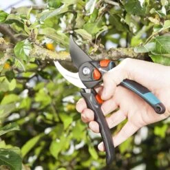 GARDENA - Comfort B/S-XL Bypass - Snoeischaar - Ø 24 Mm - 25 Jaar Garantie 20 GARDENA - Comfort B/S-XL Bypass - Snoeischaar - Ø 24 Mm - 25 Jaar Garantie -Tuingereedschap Winkel 1200x1200 134