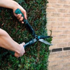 VONROC Snoeischaren Set / Snoeiset - 3-delig - Takkenschaar, Heggenschaar En Snoeischaar 15 VONROC Snoeischaren Set / Snoeiset - 3-delig - Takkenschaar, Heggenschaar En Snoeischaar -Tuingereedschap Winkel 1200x1200 155