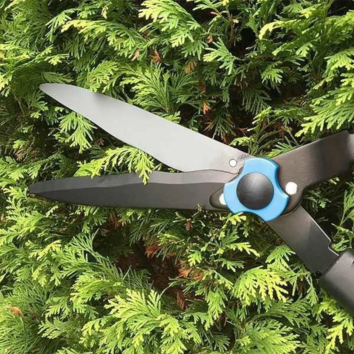 Hyundai Snoeiset 3-delig - Snoeischaar - Takkenschaar - Heggenschaar 12 Hyundai Snoeiset 3-delig - Snoeischaar - Takkenschaar - Heggenschaar - Afbeelding 10