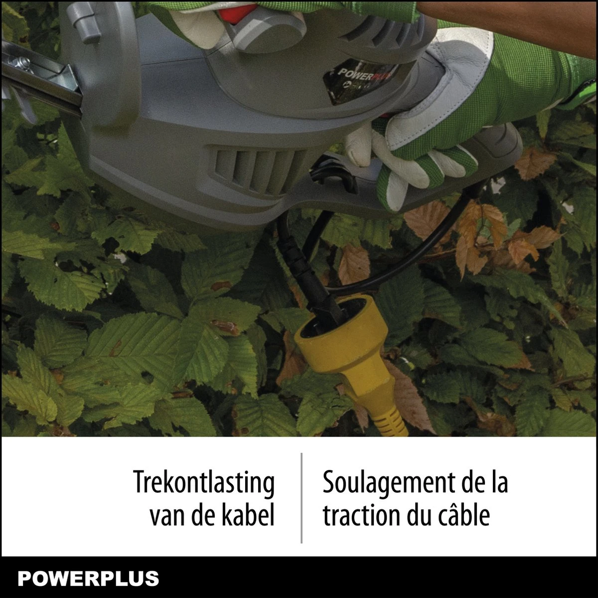 Powerplus POWEG40100 Elektrische Heggenschaar - 550W - Snoeien En Knippen - Zwaardlengte 560mm - Mesafstand 16mm - Haagschaar Voor Tuinonderhoud 6 Powerplus POWEG40100 Elektrische Heggenschaar - 550W - Snoeien En Knippen - Zwaardlengte 560mm - Mesafstand 16mm - Haagschaar Voor Tuinonderhoud - Afbeelding 4