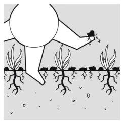 GARDENA EVC 1000 Verticuteermachine - Werkbreedte 30 Cm - Werkgebied 600m2 -Tuingereedschap Winkel 1200x1200 293