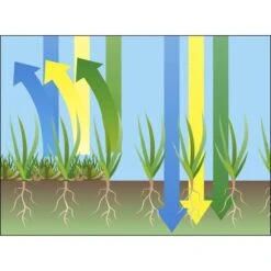 GARDENA EVC 1000 Verticuteermachine - Werkbreedte 30 Cm - Werkgebied 600m2 -Tuingereedschap Winkel 1200x1200 294