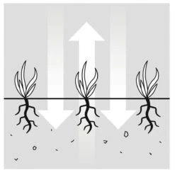 GARDENA EVC 1000 Verticuteermachine - Werkbreedte 30 Cm - Werkgebied 600m2 -Tuingereedschap Winkel 1200x1200 295