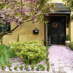 Talen Tools - Voetenveger - Dubbel - Harde Kunststof Borstels -Tuingereedschap Winkel 1200x1200 539