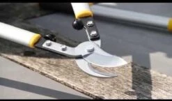 Hendrik Jan - Takkenschaar - Aluminium - Aambeeld - 62 Cm 11 Hendrik Jan - Takkenschaar - Aluminium - Aambeeld - 62 Cm -Tuingereedschap Winkel 1200x704