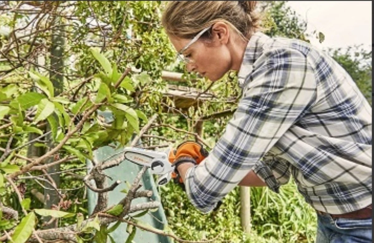 Stihl Accu Mini Kettingzaag SET - Snoeischaar - Snoeizaag - Hand Kettingzaag - Professioneel- Hovenier- Tuinman 8 Stihl Accu Mini Kettingzaag SET - Snoeischaar - Snoeizaag - Hand Kettingzaag - Professioneel- Hovenier- Tuinman - Afbeelding 6