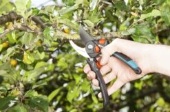 GARDENA - Comfort B/S-XL Bypass - Snoeischaar - Ø 24 Mm - 25 Jaar Garantie 24 GARDENA - Comfort B/S-XL Bypass - Snoeischaar - Ø 24 Mm - 25 Jaar Garantie -Tuingereedschap Winkel 1200x799 18