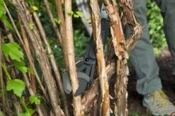 GARDENA - SlimCut Takkenschaar -28mm- Met Hefboommechanisme 14 GARDENA - SlimCut Takkenschaar -28mm- Met Hefboommechanisme -Tuingereedschap Winkel 1200x799 24