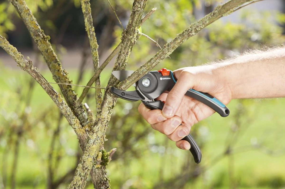 GARDENA - Comfort A/M Aambeeld - Snoeischaar - Ø 23mm 4 GARDENA - Comfort A/M Aambeeld - Snoeischaar - Ø 23mm - Afbeelding 2