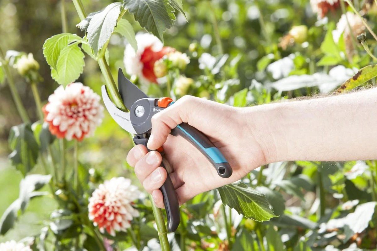 GARDENA Comfort B/M Bypass Snoeischaar - Ø 24mm - Met Sapgeul 10 GARDENA Comfort B/M Bypass Snoeischaar - Ø 24mm - Met Sapgeul - Afbeelding 8