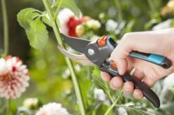 GARDENA Comfort B/M Bypass Snoeischaar - Ø 24mm - Met Sapgeul 19 GARDENA Comfort B/M Bypass Snoeischaar - Ø 24mm - Met Sapgeul -Tuingereedschap Winkel 1200x799 46