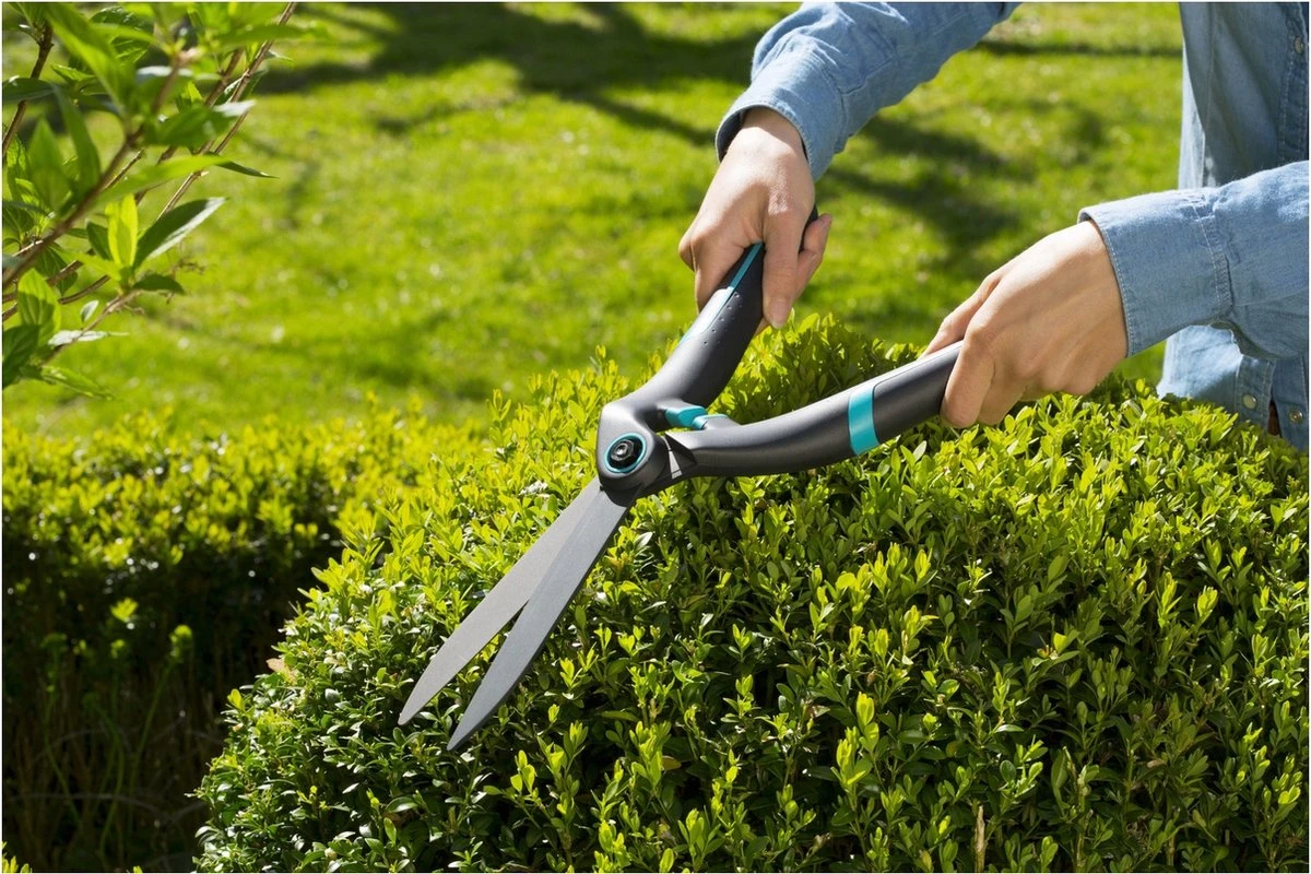 GARDENA PrecisionCut Buxusschaar - Meslengte 18 Cm - Vormsnoeien 6 GARDENA PrecisionCut Buxusschaar - Meslengte 18 Cm - Vormsnoeien - Afbeelding 4