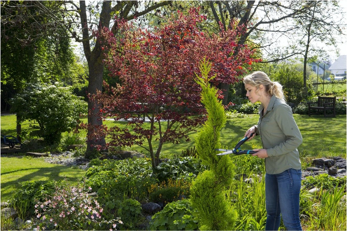 GARDENA PrecisionCut Buxusschaar - Meslengte 18 Cm - Vormsnoeien 7 GARDENA PrecisionCut Buxusschaar - Meslengte 18 Cm - Vormsnoeien - Afbeelding 5