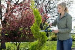 GARDENA PrecisionCut Buxusschaar - Meslengte 18 Cm - Vormsnoeien 20 GARDENA PrecisionCut Buxusschaar - Meslengte 18 Cm - Vormsnoeien -Tuingereedschap Winkel 1200x800 113