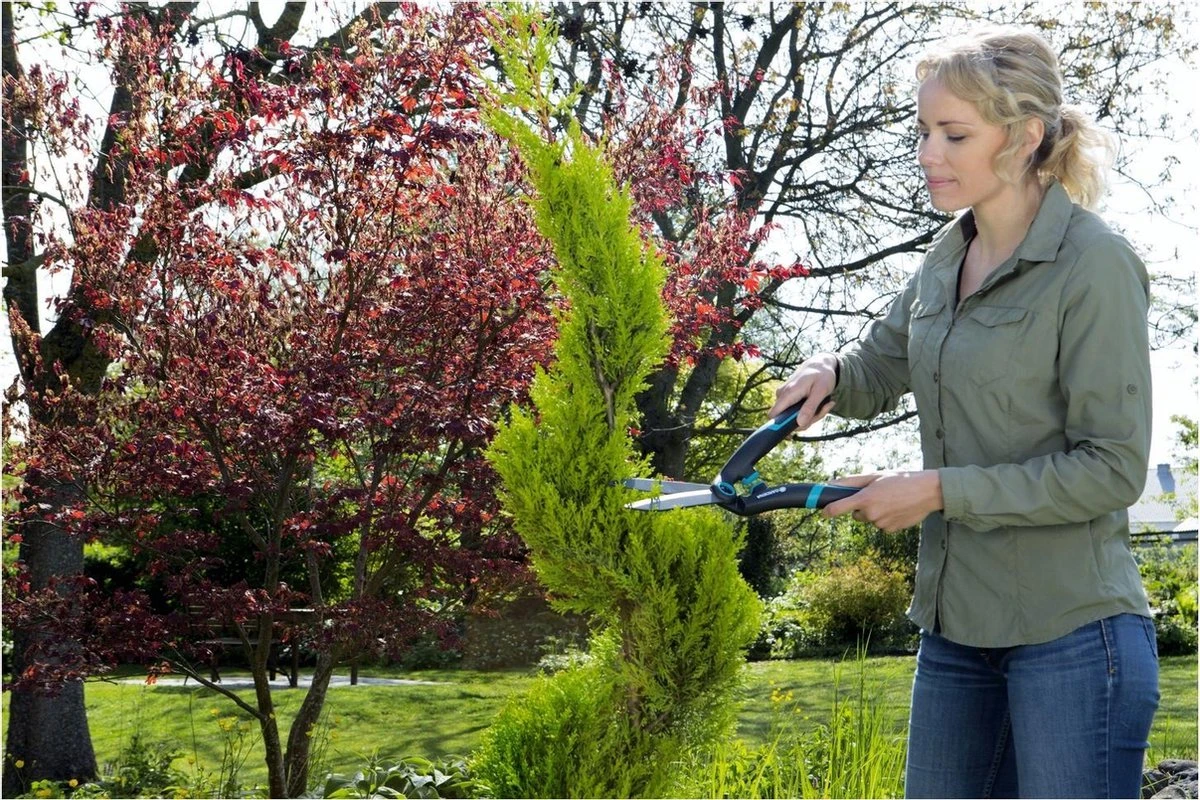 GARDENA PrecisionCut Buxusschaar - Meslengte 18 Cm - Vormsnoeien 8 GARDENA PrecisionCut Buxusschaar - Meslengte 18 Cm - Vormsnoeien - Afbeelding 6