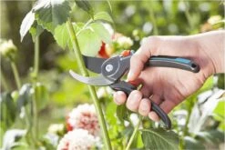 GARDENA Comfort B/M Bypass Snoeischaar - Ø 24mm - Met Sapgeul 13 GARDENA Comfort B/M Bypass Snoeischaar - Ø 24mm - Met Sapgeul -Tuingereedschap Winkel 1200x800 127