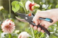 GARDENA Comfort B/M Bypass Snoeischaar - Ø 24mm - Met Sapgeul 15 GARDENA Comfort B/M Bypass Snoeischaar - Ø 24mm - Met Sapgeul -Tuingereedschap Winkel 1200x800 129