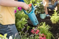 GARDENA Bollenplanter - Diepteaanduiding - Automatische Aardeloslating 14 GARDENA Bollenplanter - Diepteaanduiding - Automatische Aardeloslating -Tuingereedschap Winkel 1200x800 208