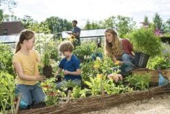 GARDENA Combisystem Bladharkje - Werkbreedte 12 Cm - 25 Jaar Garantie -Tuingereedschap Winkel 1200x800 211