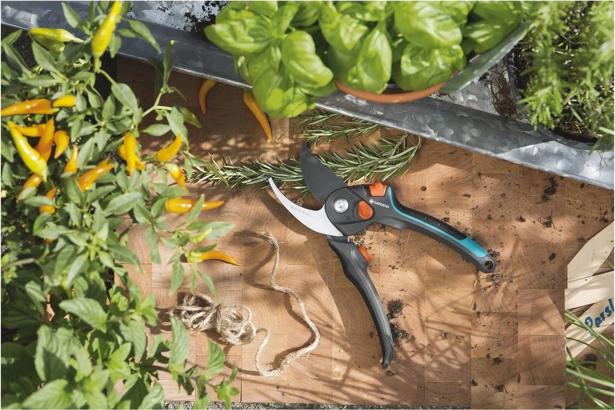 GARDENA - Comfort B/S-XL Bypass - Snoeischaar - Ø 24 Mm - 25 Jaar Garantie 9 GARDENA - Comfort B/S-XL Bypass - Snoeischaar - Ø 24 Mm - 25 Jaar Garantie - Afbeelding 7