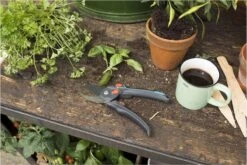 GARDENA - Comfort B/S-XL Bypass - Snoeischaar - Ø 24 Mm - 25 Jaar Garantie 25 GARDENA - Comfort B/S-XL Bypass - Snoeischaar - Ø 24 Mm - 25 Jaar Garantie -Tuingereedschap Winkel 1200x800 32