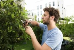 GARDENA - Comfort B/S-XL Bypass - Snoeischaar - Ø 24 Mm - 25 Jaar Garantie 28 GARDENA - Comfort B/S-XL Bypass - Snoeischaar - Ø 24 Mm - 25 Jaar Garantie -Tuingereedschap Winkel 1200x800 34