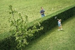 Bosch AHS 50-20 Accu Heggenschaar - Met 1 X 18 V Accu En Lader 16 Bosch AHS 50-20 Accu Heggenschaar - Met 1 X 18 V Accu En Lader -Tuingereedschap Winkel 1200x800 38