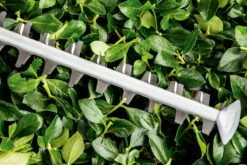 Bosch UniversalHedgeCut 60 Heggenschaar - Op Snoer - Lengte 60 Cm -Tuingereedschap Winkel 1200x800 44