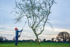 Bosch UniversalHedgePole 18 Heggenschaar Op Steel - Met 18 V Accu En Lader -Tuingereedschap Winkel 1200x800 69