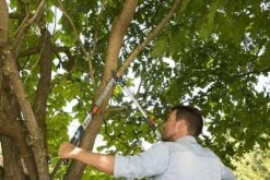 Gardena TeleCut Takkenschaar 650-900 B - Uitschuifbare Armen - Tot Max 90 Cm 21 Gardena TeleCut Takkenschaar 650-900 B - Uitschuifbare Armen - Tot Max 90 Cm -Tuingereedschap Winkel 1200x800 78