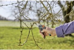 GARDENA - ExpertCut - Snoeischaar - 22 Diameter Tak -Tuingereedschap Winkel 1200x815