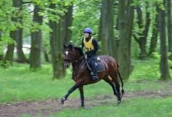 Aqua2Go GD86 Staand Electrische Pressure Washer - 20 Liter Tank - Afneembare Pomp -Tuingereedschap Winkel 1200x817 7