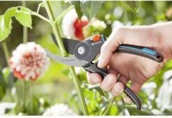 GARDENA Comfort B/M Bypass Snoeischaar - Ø 24mm - Met Sapgeul 16 GARDENA Comfort B/M Bypass Snoeischaar - Ø 24mm - Met Sapgeul -Tuingereedschap Winkel 1200x822