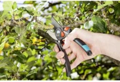 GARDENA - Comfort B/S-XL Bypass - Snoeischaar - Ø 24 Mm - 25 Jaar Garantie 30 GARDENA - Comfort B/S-XL Bypass - Snoeischaar - Ø 24 Mm - 25 Jaar Garantie -Tuingereedschap Winkel 1200x825 3