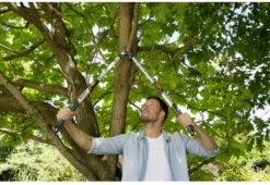 Gardena TeleCut Takkenschaar 650-900 B - Uitschuifbare Armen - Tot Max 90 Cm 20 Gardena TeleCut Takkenschaar 650-900 B - Uitschuifbare Armen - Tot Max 90 Cm -Tuingereedschap Winkel 1200x826 2