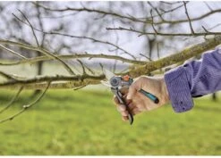 GARDENA - ExpertCut - Snoeischaar - 22 Diameter Tak -Tuingereedschap Winkel 1200x859