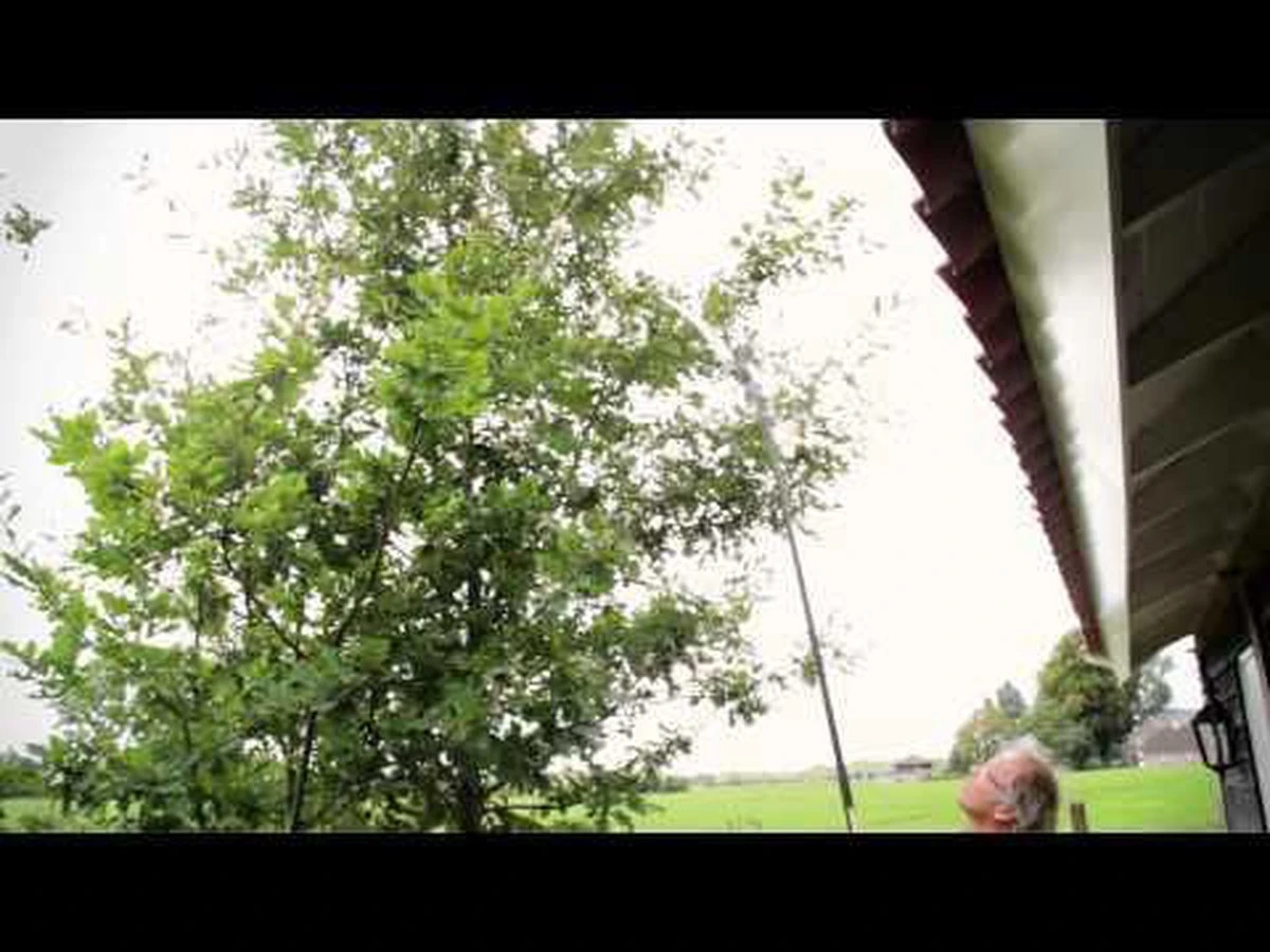 Hendrik Jan - Snoeizaag - Pistoolgreep - Gebogen - 30 Cm 5 Hendrik Jan - Snoeizaag - Pistoolgreep - Gebogen - 30 Cm - Afbeelding 3