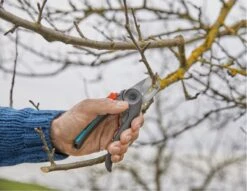 GARDENA - ExpertCut - Snoeischaar - 22 Diameter Tak -Tuingereedschap Winkel 1200x929