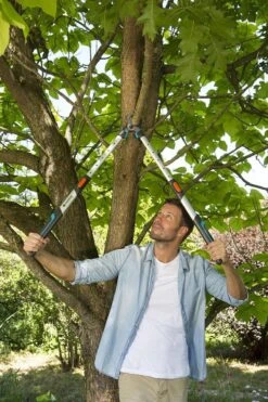 Gardena TeleCut Takkenschaar 650-900 B - Uitschuifbare Armen - Tot Max 90 Cm 18 Gardena TeleCut Takkenschaar 650-900 B - Uitschuifbare Armen - Tot Max 90 Cm -Tuingereedschap Winkel 800x1200 12