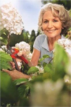 WOLF-Garten Snoeischaar "Premium Plus" RR 4000 - Max. Knipdiameter 22 Mm - Links- En Rechtshandige - Softinleg Handgreep - Snijhoek 30° - Voor Grote Handen - Vervangbare Messen -Tuingereedschap Winkel 800x1200 8