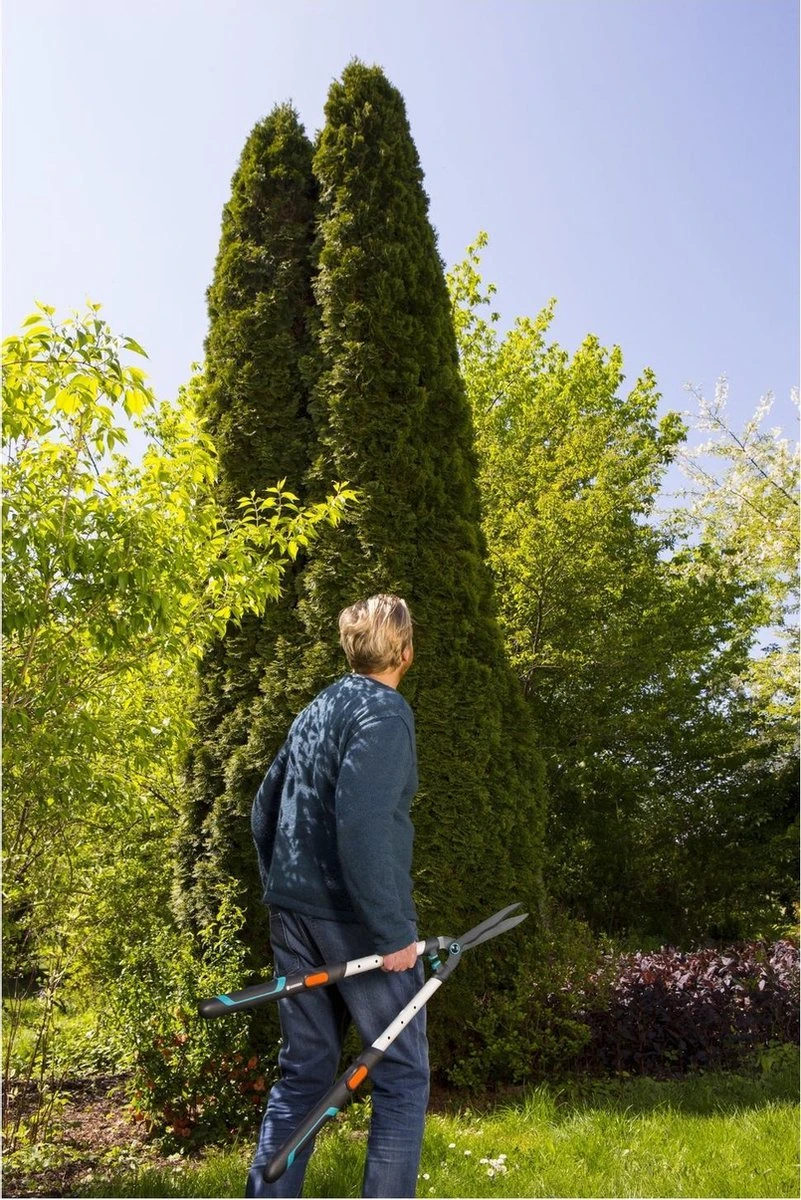 GARDENA TeleCut Heggenschaar - Telescopische Handgrepen Van 70-90 Cm 10 GARDENA TeleCut Heggenschaar - Telescopische Handgrepen Van 70-90 Cm - Afbeelding 8