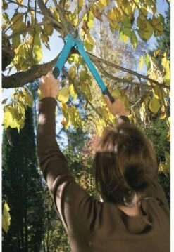 GARDENA Comfort 500 BL Takkenschaar - Max Knipdiameter 35 Mm 16 GARDENA Comfort 500 BL Takkenschaar - Max Knipdiameter 35 Mm -Tuingereedschap Winkel 825x1200 8