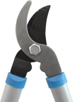 Hyundai Snoeiset 3-delig - Snoeischaar - Takkenschaar - Heggenschaar 25 Hyundai Snoeiset 3-delig - Snoeischaar - Takkenschaar - Heggenschaar -Tuingereedschap Winkel 869x1200